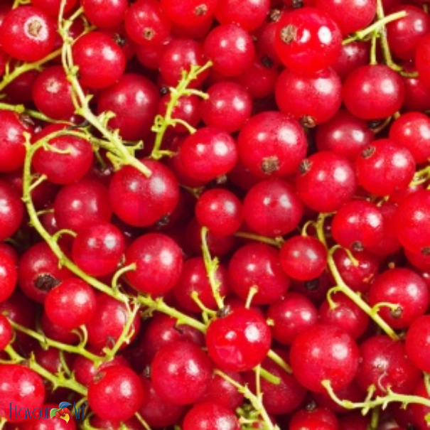 Flavour Art Blackcurrant - In Stock