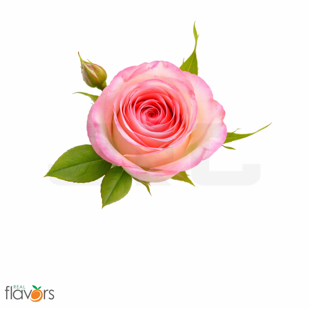 Real Flavors Rose Extract - In Stock