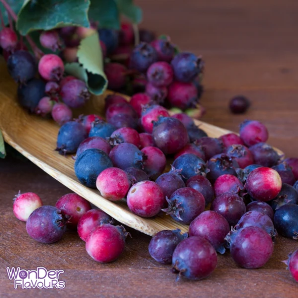 Wonder Flavours SC Saskatoon Berries