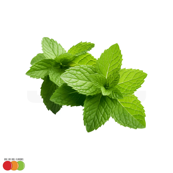 One On One Spearmint - In Stock