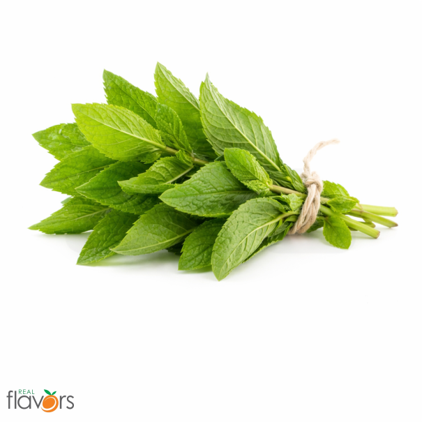 Real Flavors Spearmint Extract - In Stock