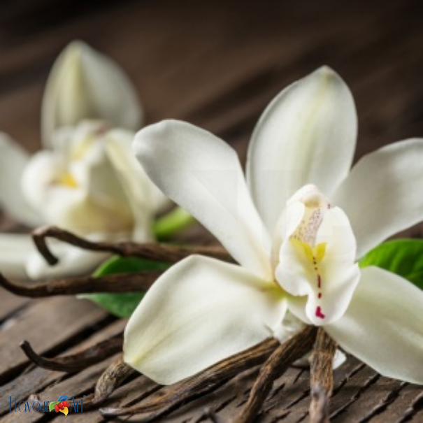 Flavour Art Vanilla Classic Madagascar - In Stock