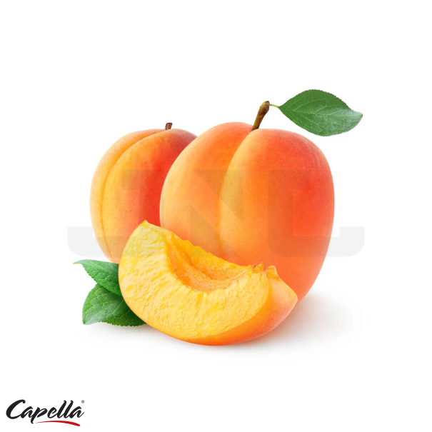 Capella Apricot - In Stock