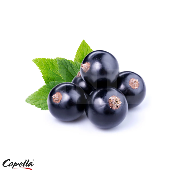 Capella Black Currant