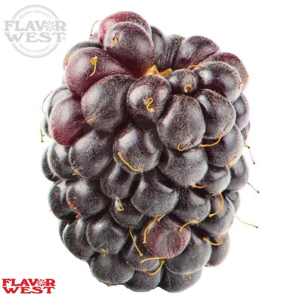 Flavor West Boysenberry - In Stock