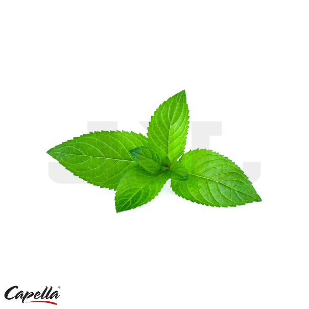 Capella Cool Mint