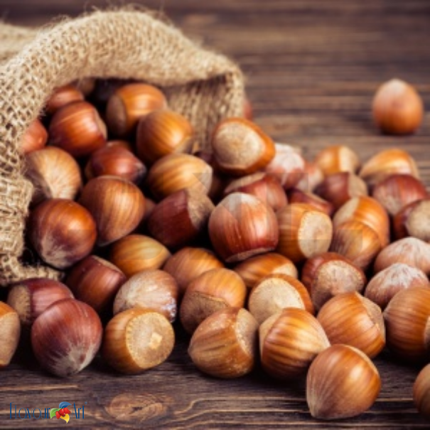 Flavour Art Hazelnut - In Stock