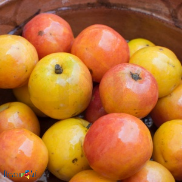 Flavour Art Jocote Plum - In Stock