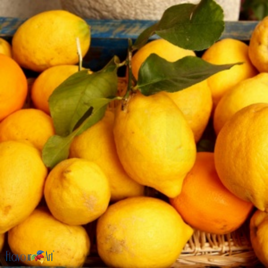 Flavour Art Lemon Sicily - In Stock