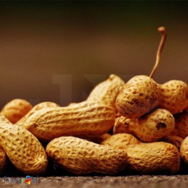 Flavour Art Peanut - In Stock