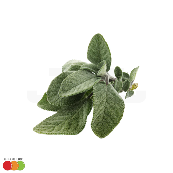 One On One Sage - In Stock