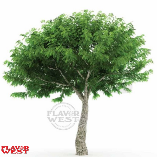 Flavor West Sassafras
