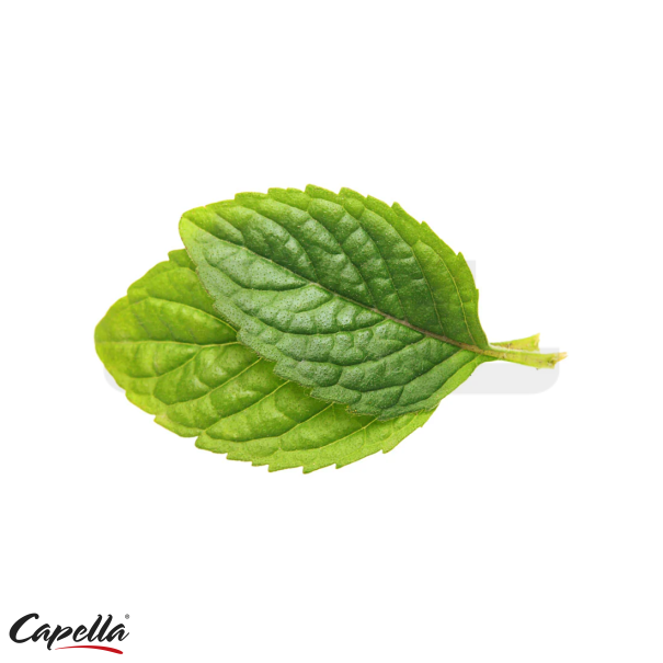 Capella Spearmint - In Stock
