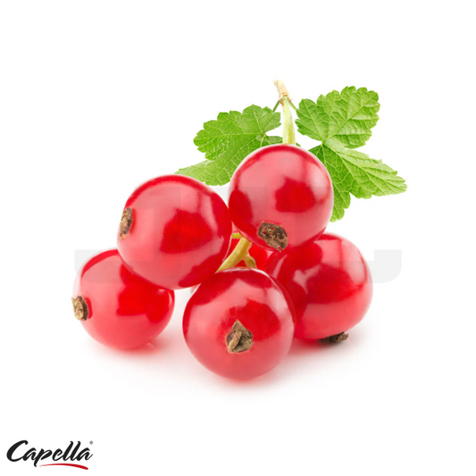 Capella Sweet Currant - In Stock