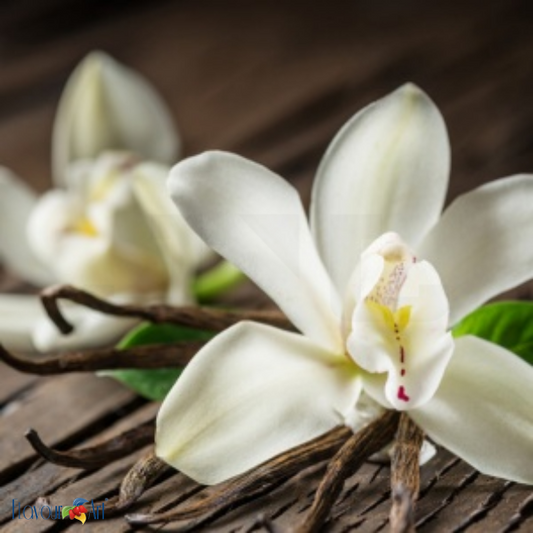 Flavour Art Vanilla Classic Madagascar - In Stock