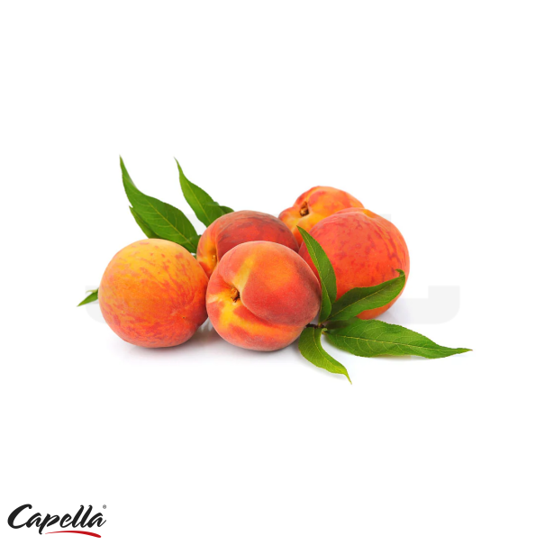 Capella Yellow Peach - In Stock